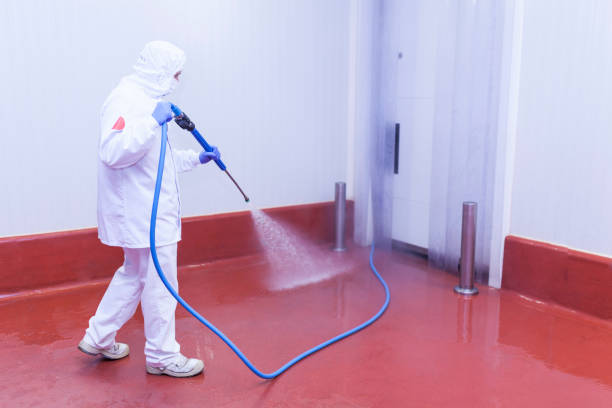 Best Pre-Holiday Cleaning  in Brazil, IN