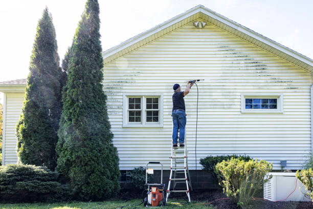Best Patio and Deck Pressure Washing  in Brazil, IN